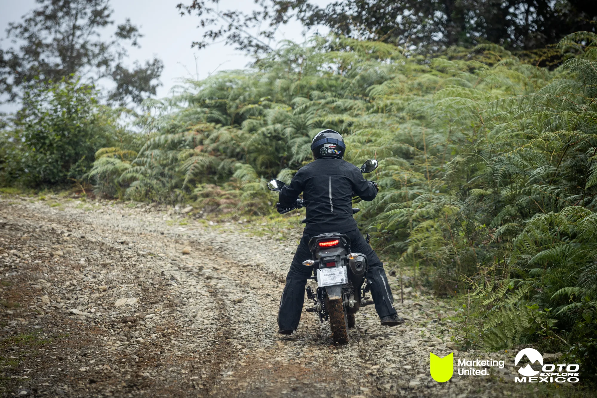 HERO VERACRUZ 541