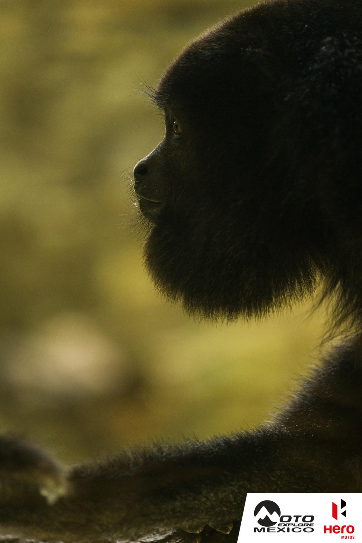 HERO XPULSE CHIAPAS 2025 34