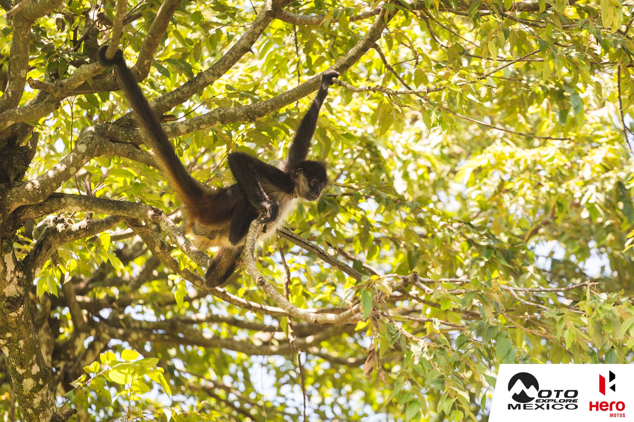 HERO XPULSE CHIAPAS 2025 35