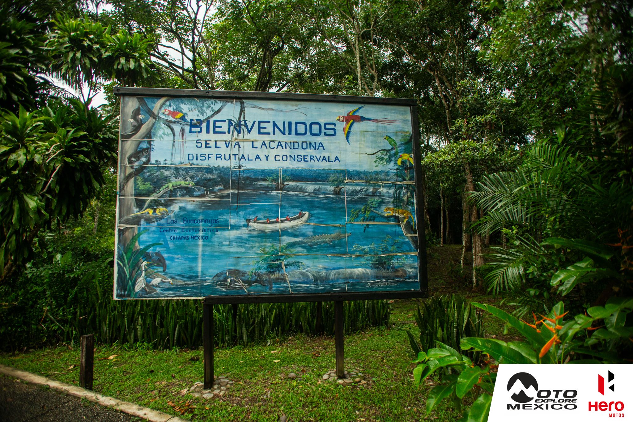 HERO XPULSE CHIAPAS 2025 615